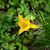 Image-square_50