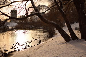 Image-preview_300x200