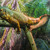 Image-square_50