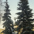 Image-square_50