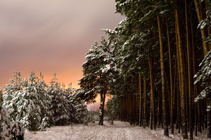 Image-preview_300x200