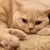 Image-square_50