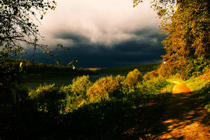 Image-preview_300x200