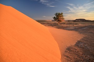 Image-preview_300x200