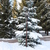 Image-square_50