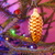 Image-square_50
