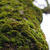 Image-square_50