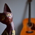 Image-square_50