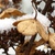 Image-square_50