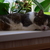 Image-square_50