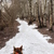 Image-square_50