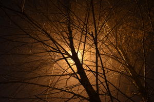 Image-preview_300x200