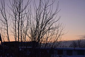 Image-preview_300x200