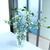 Image-square_50