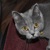 Image-square_50