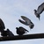 Image-square_50