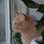 Image-square_50