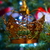 Image-square_50