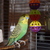 Image-square_50