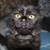 Image-square_50