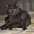 Image-square_50