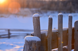 Image-preview_300x200