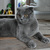 Image-square_50