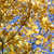 Image-square_50