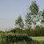 Image-square_50