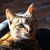 Image-square_50