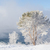 Image-square_50
