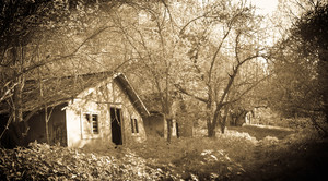 Image-preview_300x200