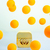 Image-square_50
