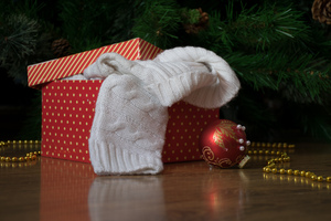 Image-preview_300x200