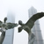 Image-square_50