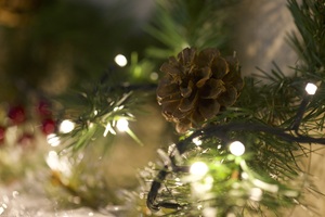 Image-preview_300x200