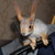 Image-square_50