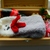 Image-square_50