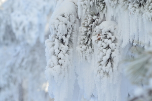 Image-preview_300x200