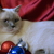 Image-square_50