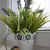Image-square_50
