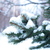 Image-square_50