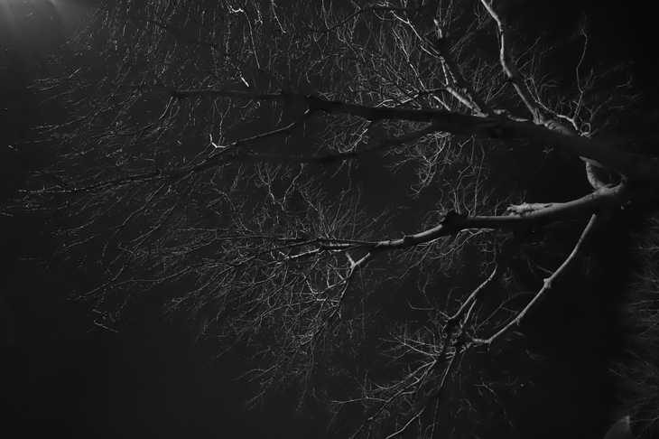 Image-normal