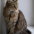 Image-square_50