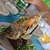 Image-square_50