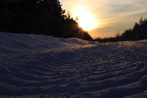 Image-preview_300x200