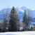 Image-square_50