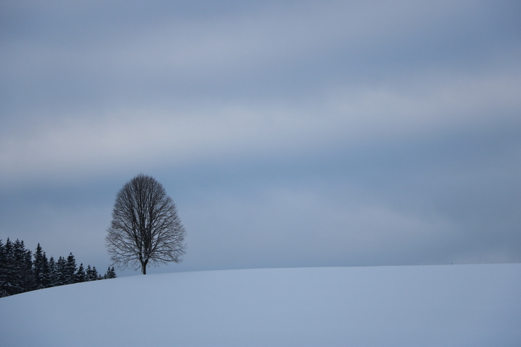 Image-normal