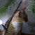 Image-square_50