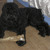 Image-square_50
